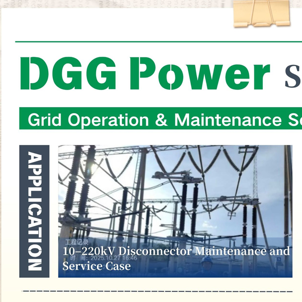 DGG disconnector maintenance service.jpg