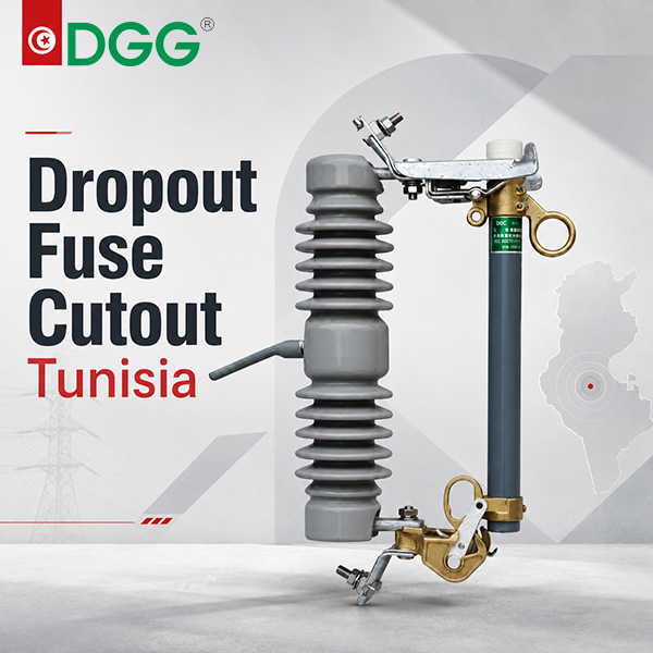 dropout fuse cutout Tunisia.jpg